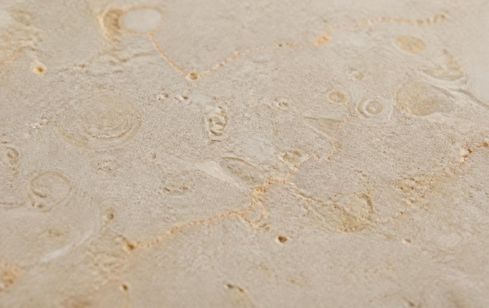 Macro detail of honed Shahabad Cream limestone showing faint warm veining and fossil traces