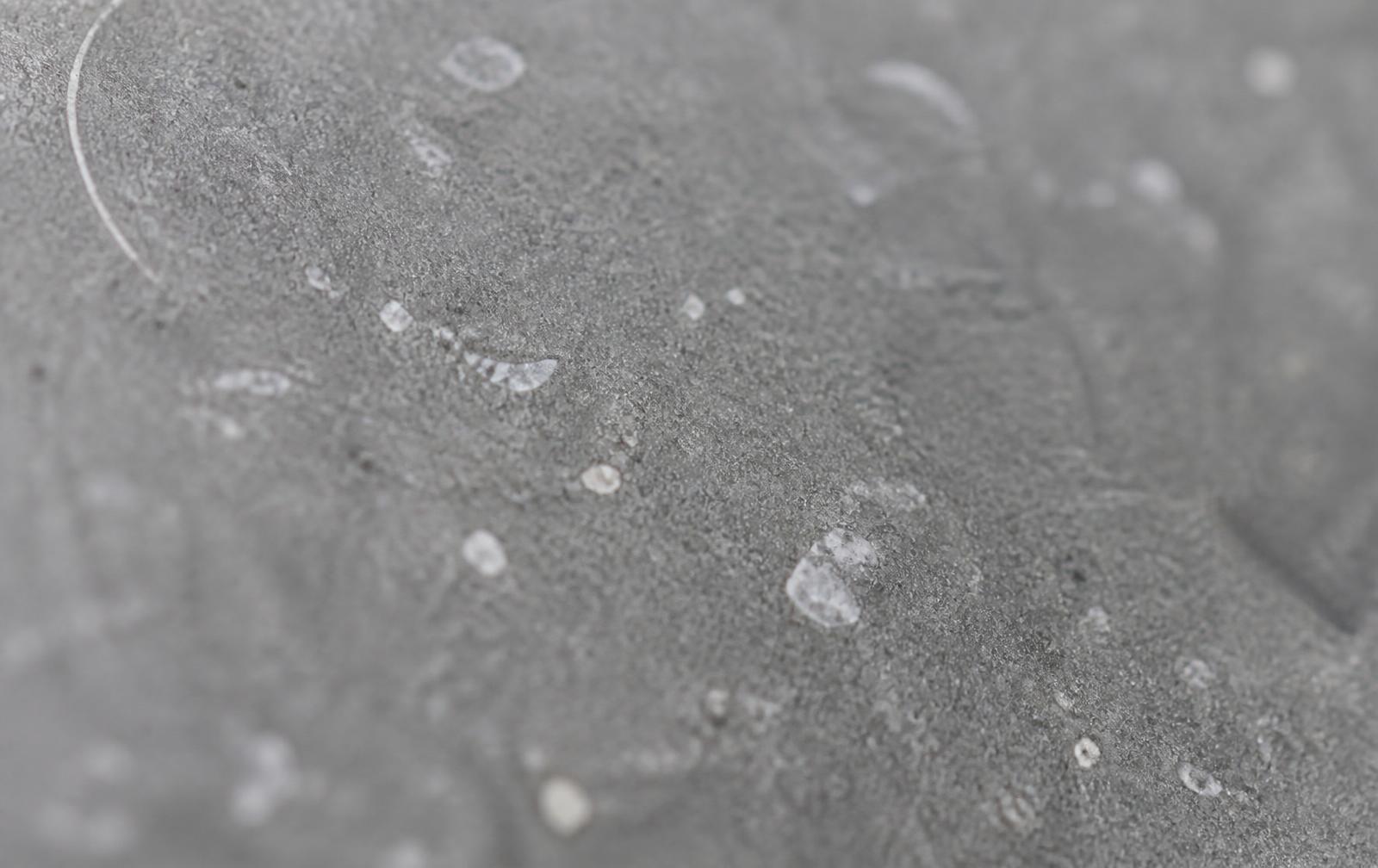 Macro detail of honed Shahabad Grey limestone showing fine calcite grain and shell fragments