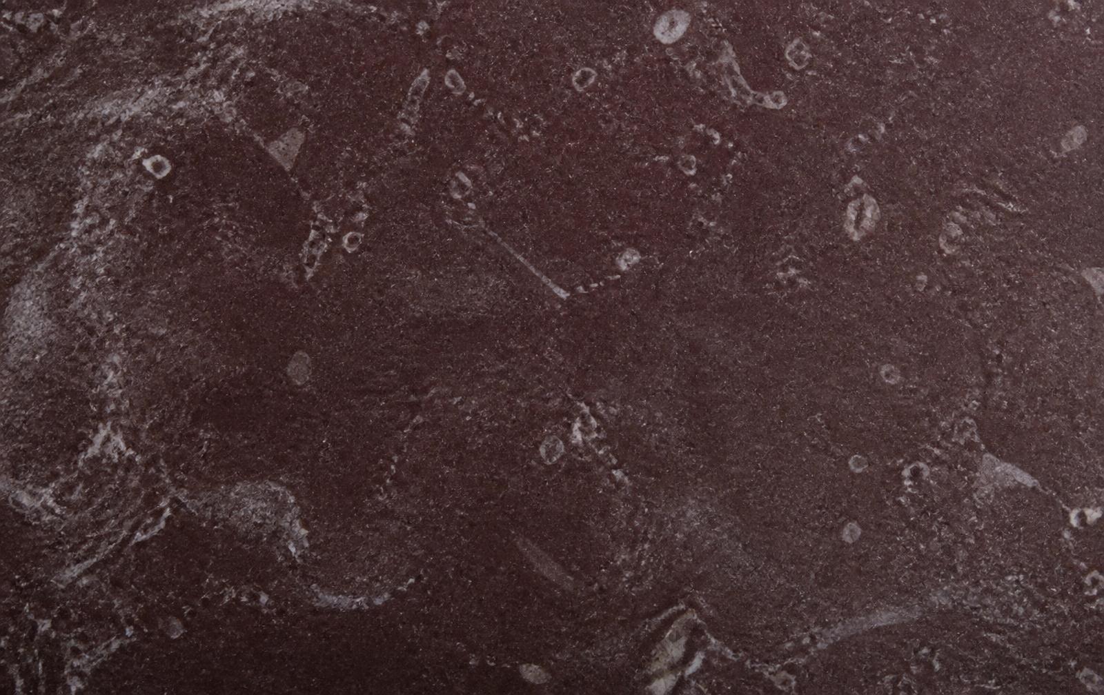 Macro detail of honed Shahabad Maroon limestone showing pale flecking in a deep red-brown ground
